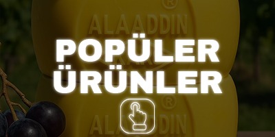 Popüler Ürünler